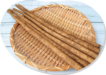 ゴボウ　畑を深く耕し長い根を作る