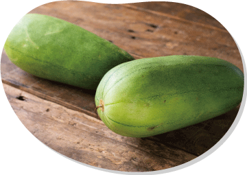 シロウリ　適切な整枝で着果を増やす