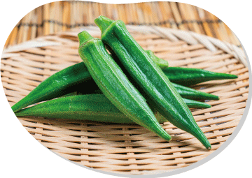 オクラ　密植栽培で生長を抑えて柔らかい実を楽しむ