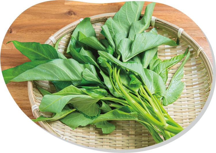 エンサイ　真夏の葉物に最適